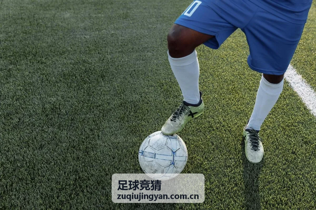 竞猜技巧指南
